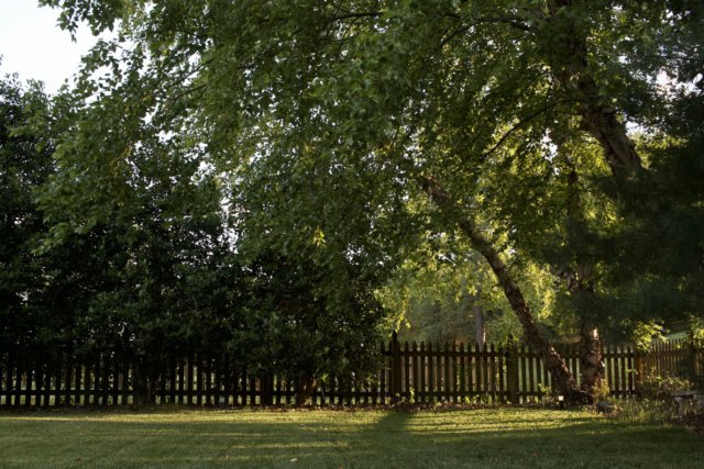Kiadó 4 szobás családi ház Érd-Parkvárosban, kerttel